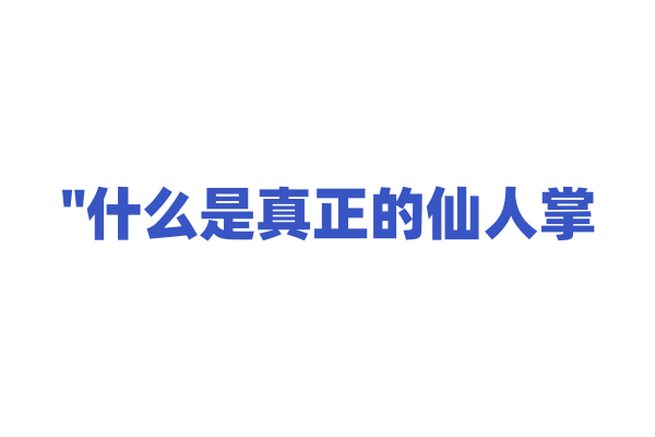 "什么是真正的仙人掌？它们是如何生存的？"